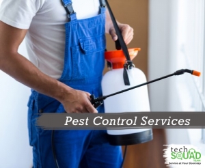 Pest Control Service in Bangalore with TechSquadTeam